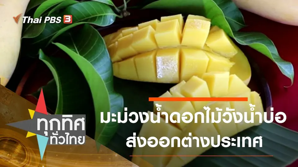 ทุกทิศทั่วไทย