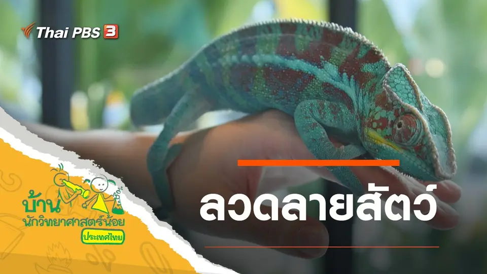 ลวดลายสัตว์