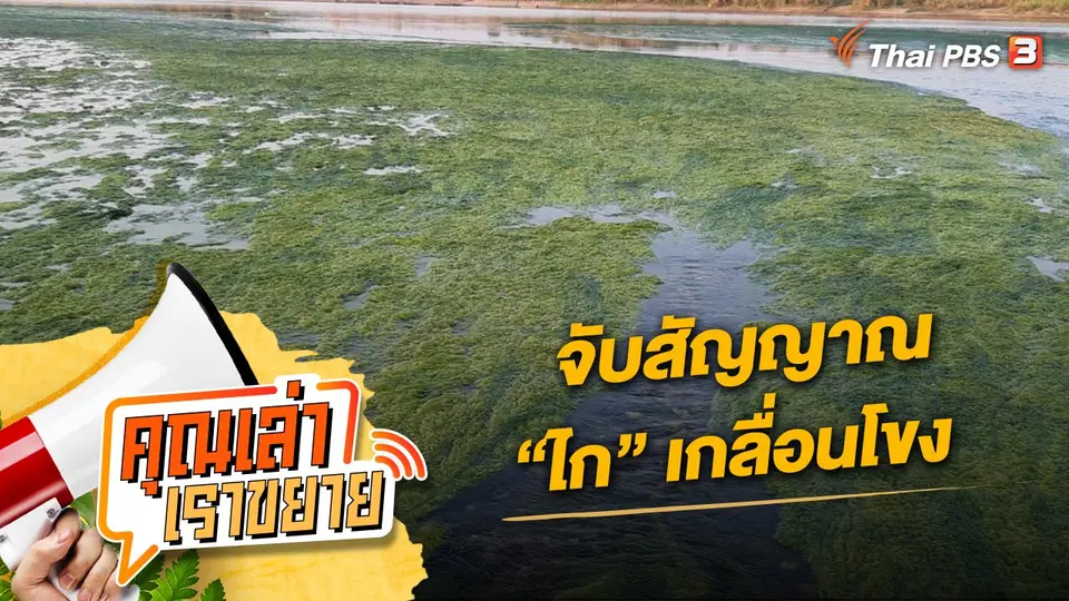 คุณเล่า เราขยาย