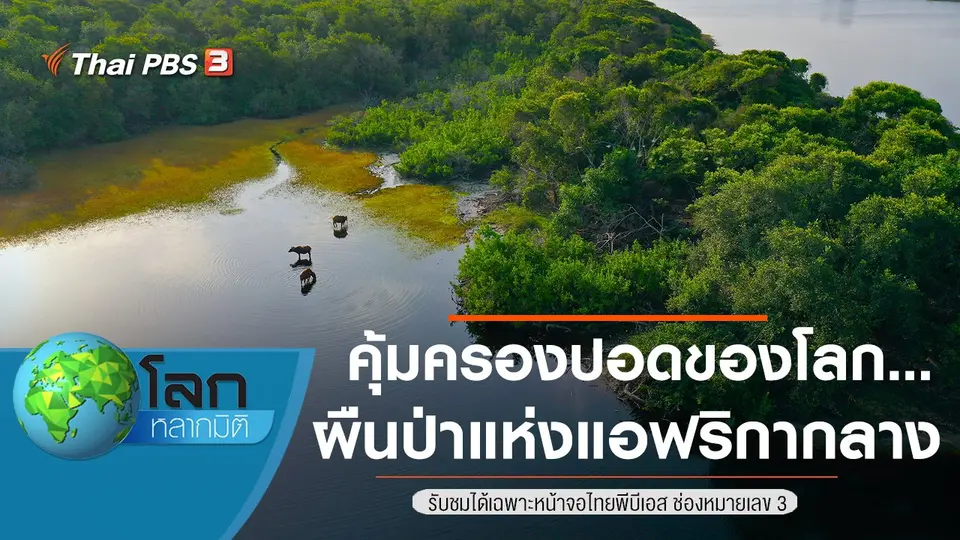 โลกหลากมิติ