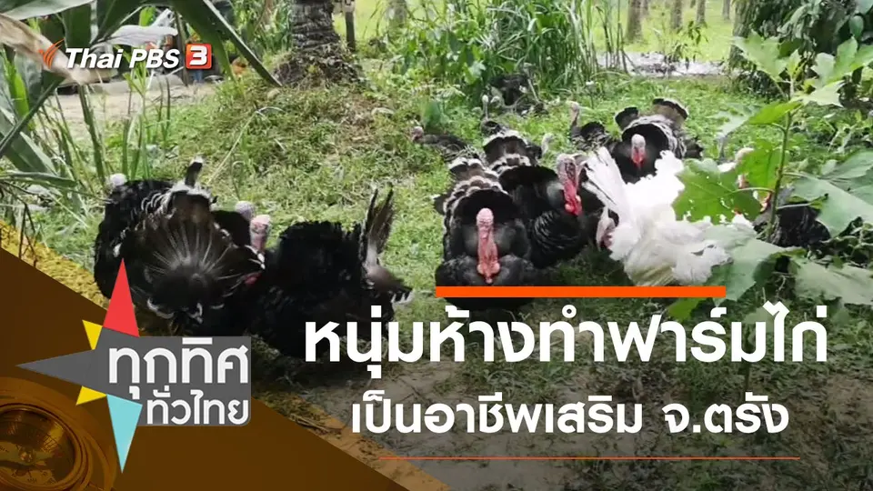 ทุกทิศทั่วไทย