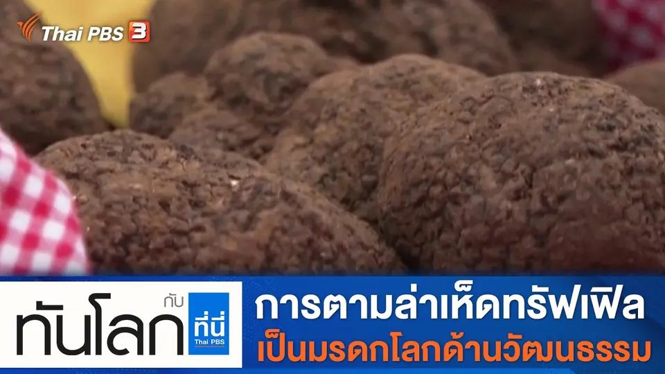 ทันโลก กับ ที่นี่ Thai PBS