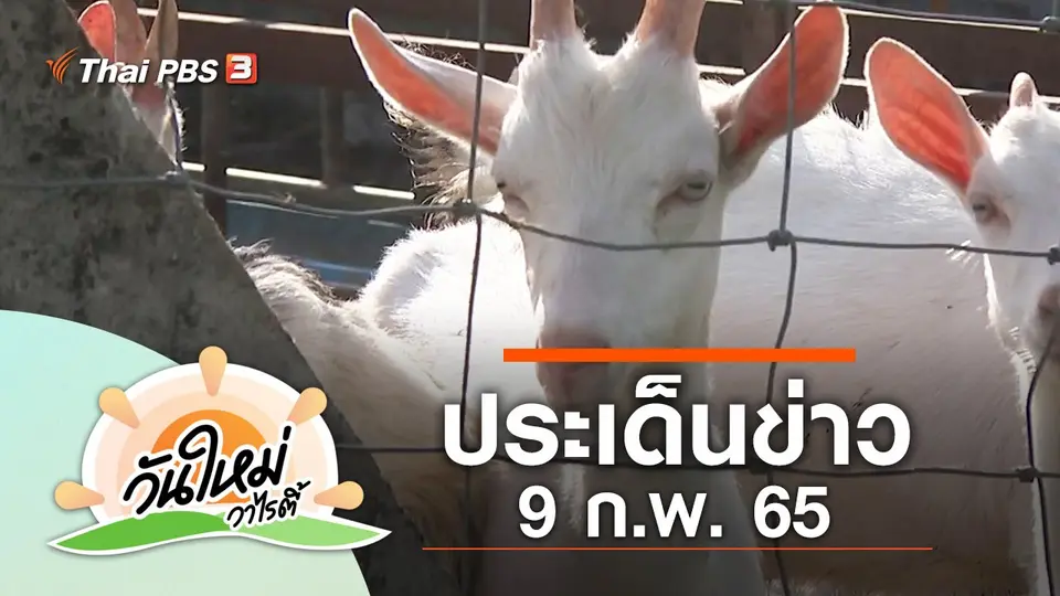 วันใหม่วาไรตี้