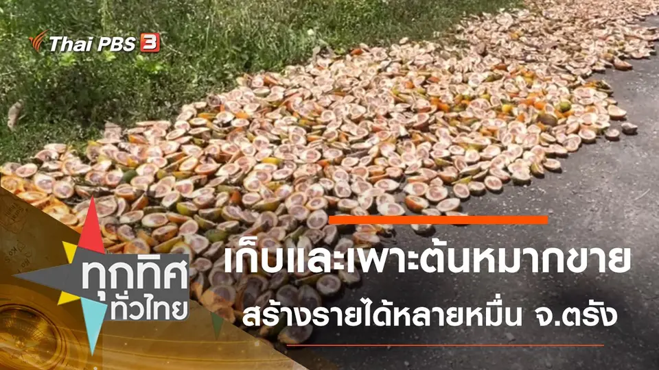 ทุกทิศทั่วไทย