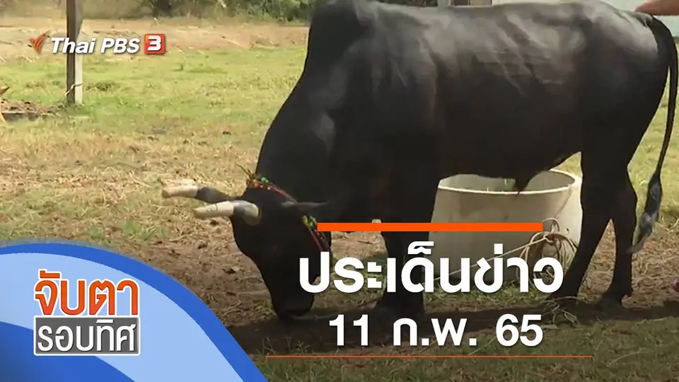 จับตารอบทิศ
