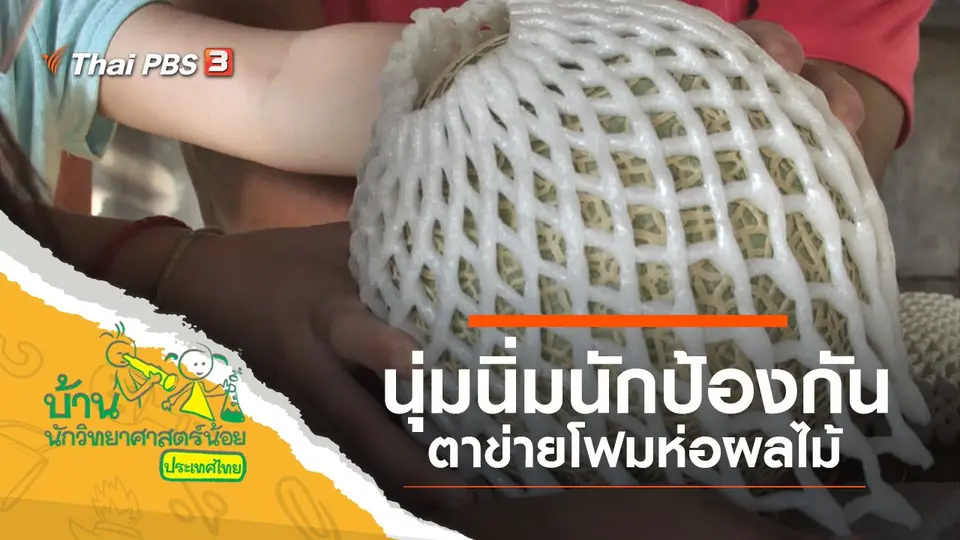 นุ่มนิ่มนักป้องกัน