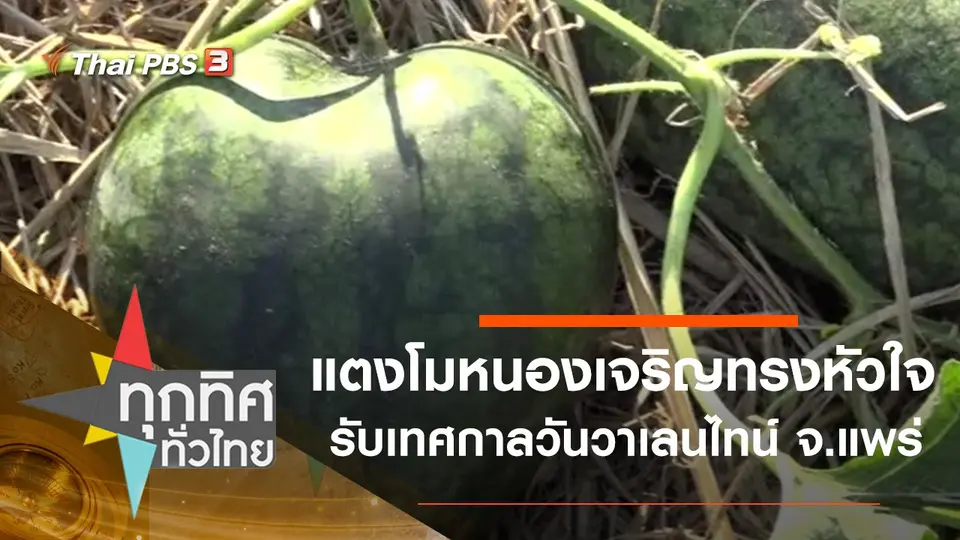 ทุกทิศทั่วไทย