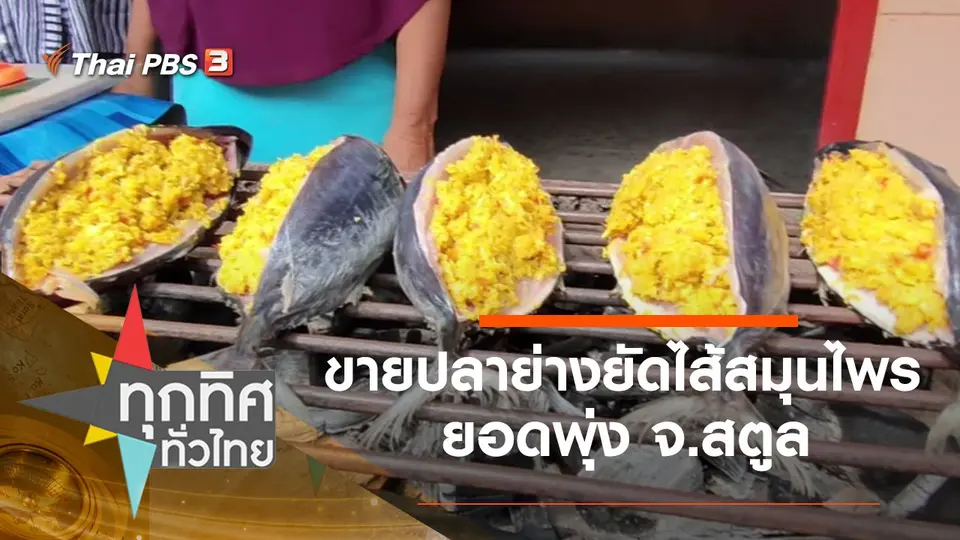 ทุกทิศทั่วไทย