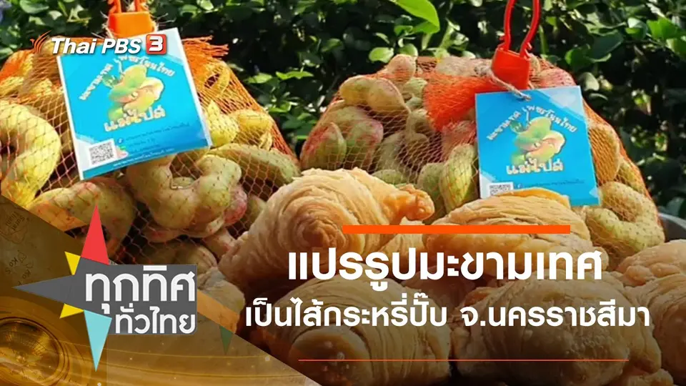 ทุกทิศทั่วไทย