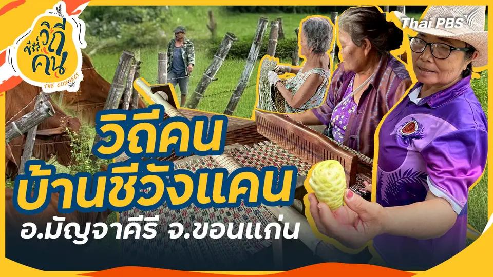 วิถีคนบ้านชีวังแคน อ.มัญจาคีรี จ.ขอนแก่น