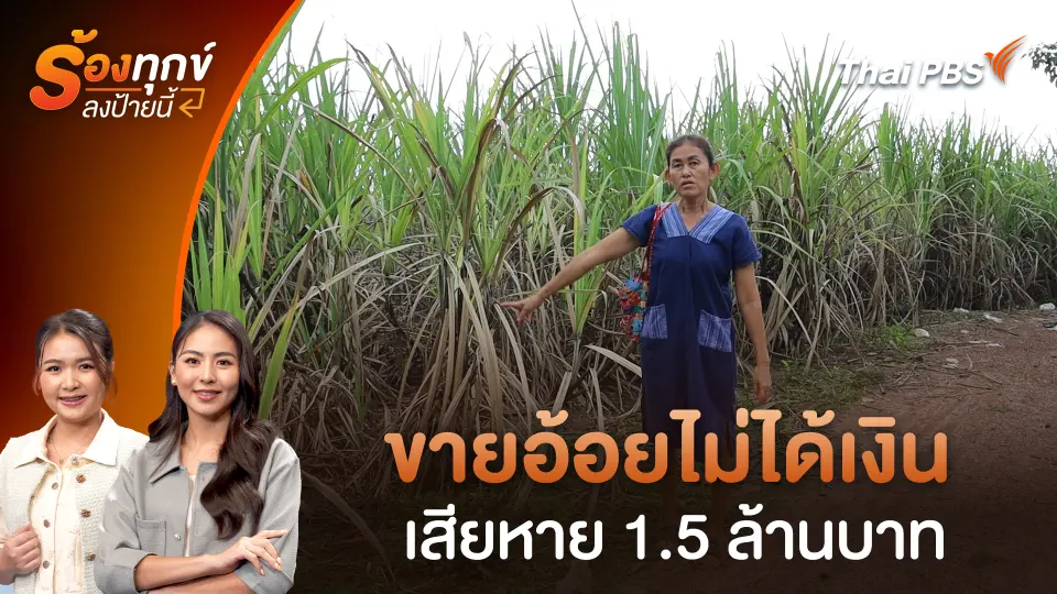 ขายอ้อยไม่ได้เงิน เสียหาย 1.5 ล้านบาท