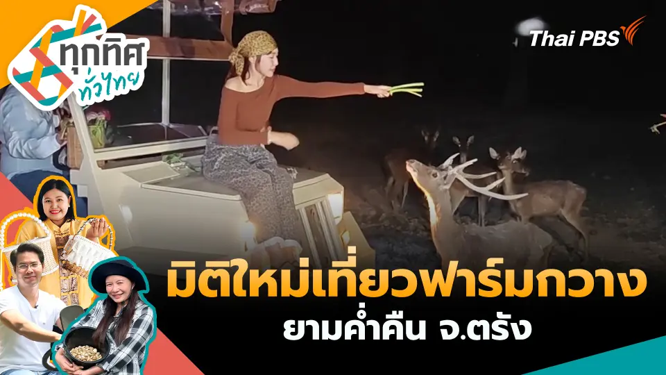 ทุกทิศทั่วไทย