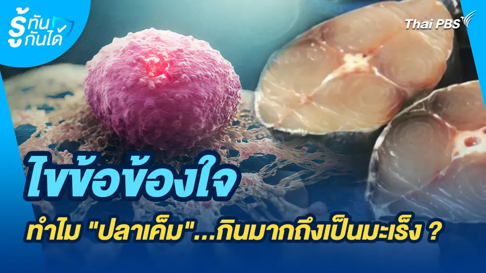 รู้ทันกันได้ : ไขข้อข้องใจทำไม "ปลาเค็ม"...กินมากถึงเป็นมะเร็ง ?