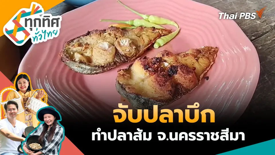 ทุกทิศทั่วไทย