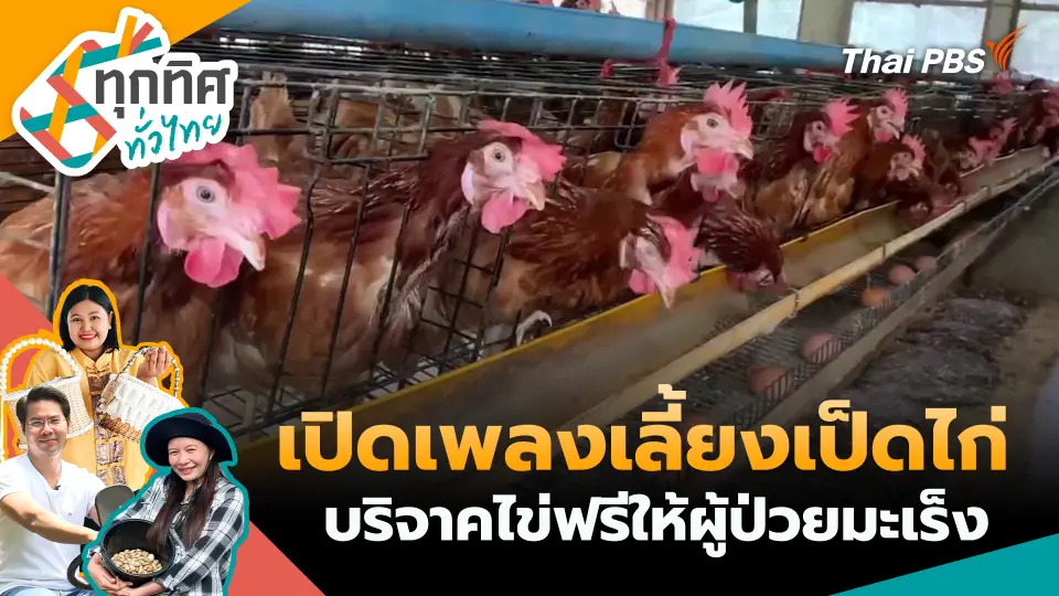 ทุกทิศทั่วไทย