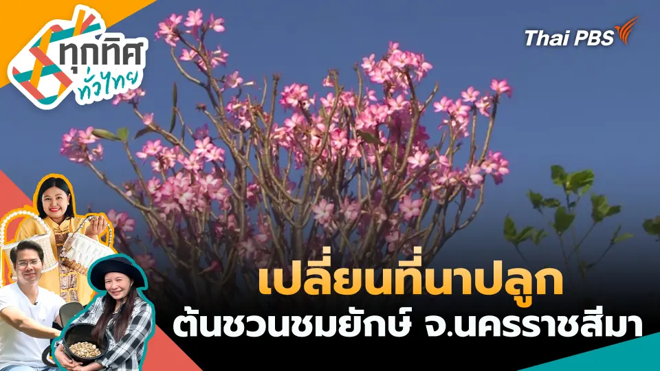 ทุกทิศทั่วไทย