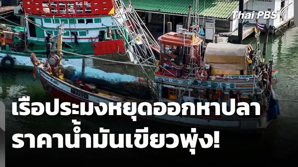 เรือประมงหยุดออกหาปลา หลังราคาน้ำมันเขียวพุ่ง 
