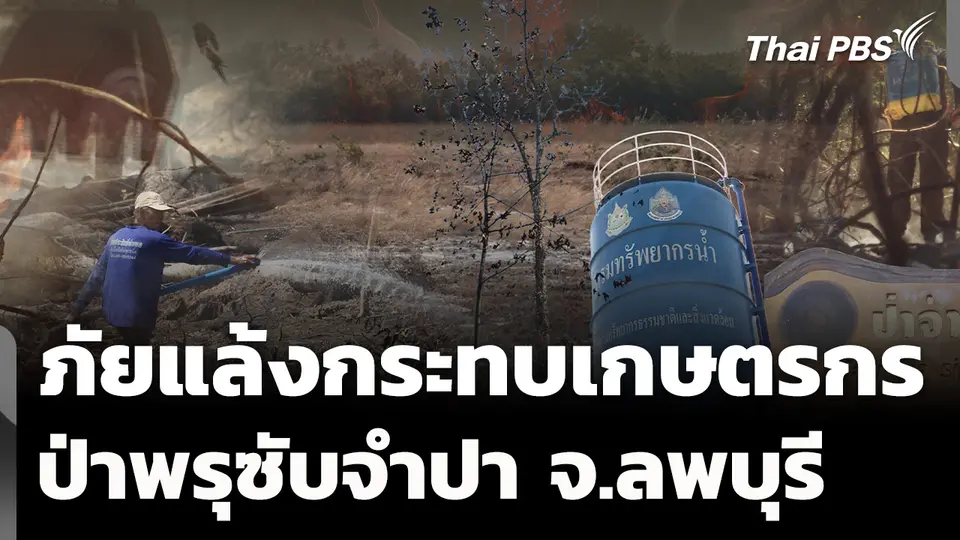 ภัยแล้งกระทบเกษตรกร-ป่าพรุซับจำปา จ.ลพบุรี 