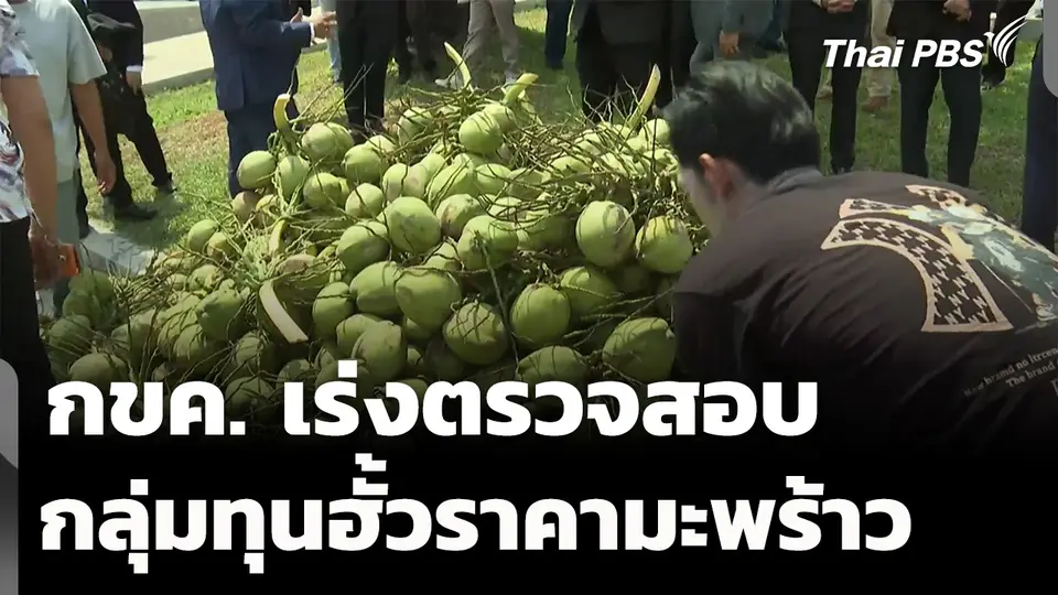 กขค. เร่งตรวจสอบ กลุ่มทุนฮั้วราคามะพร้าว