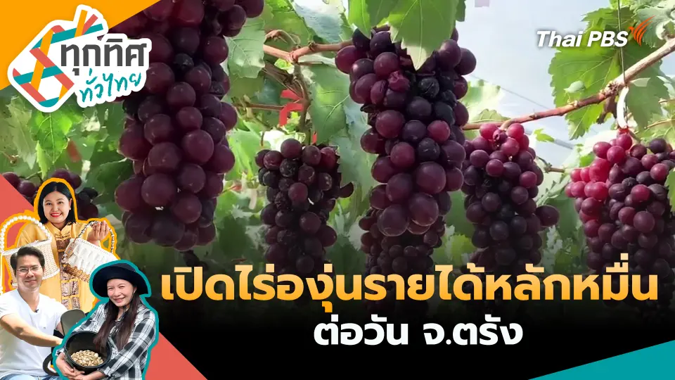 ทุกทิศทั่วไทย