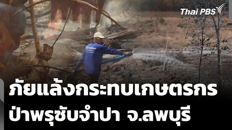 ภัยแล้งกระทบเกษตรกร-ป่าพรุซับจำปา จ.ลพบุรี