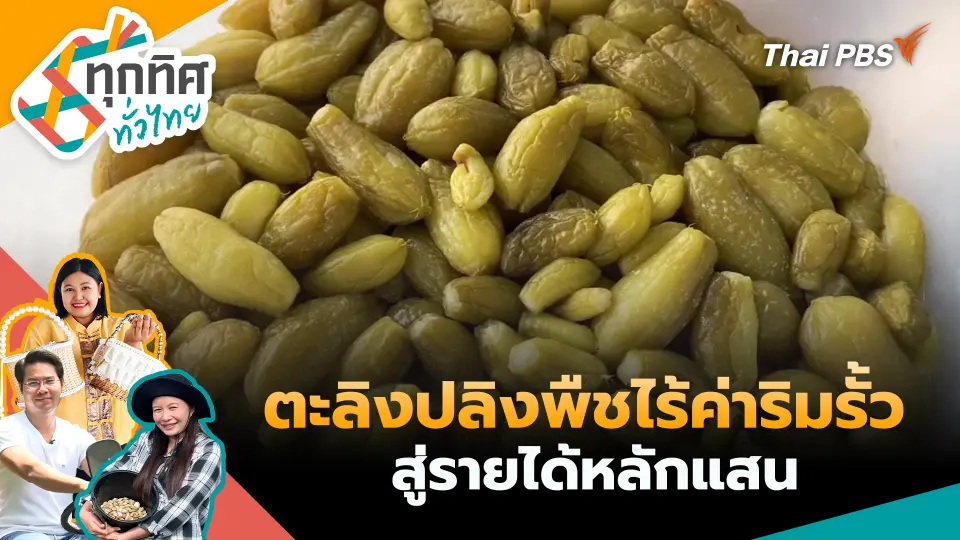 ทุกทิศทั่วไทย