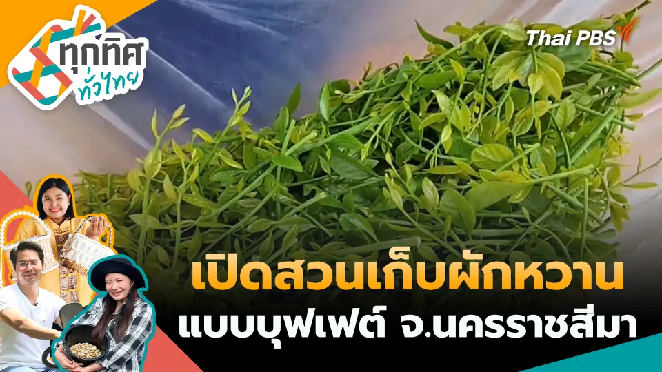 ทุกทิศทั่วไทย