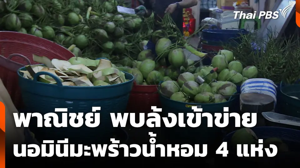 พาณิชย์ พบล้งเข้าข่ายนอมินีมะพร้าวน้ำหอม 4 แห่ง