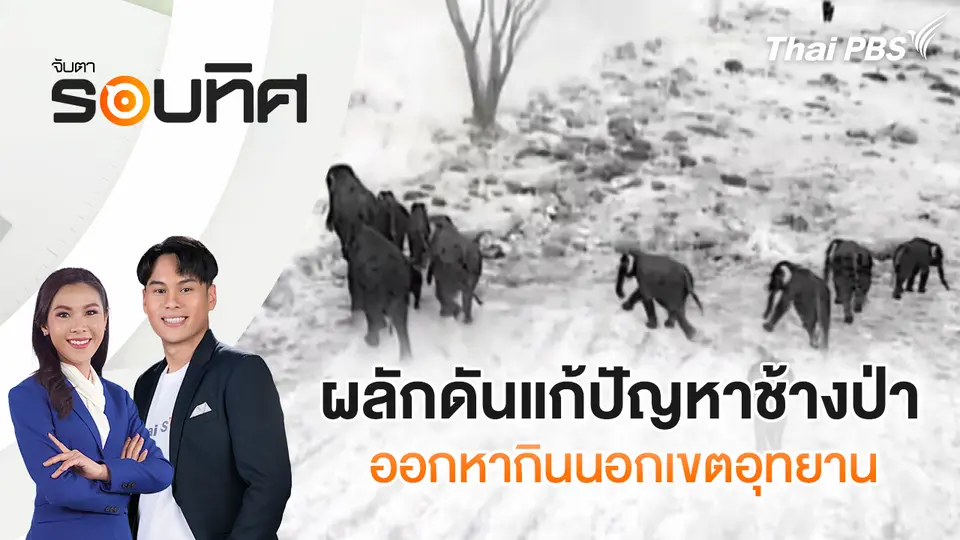 จับตารอบทิศ