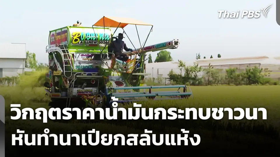 วิกฤตราคาน้ำมันกระทบชาวนา หันทำนาเปียกสลับแห้ง