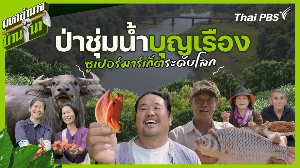 ป่าชุ่มน้ำบุญเรือง ซูเปอร์มาร์เก็ตระดับโลก