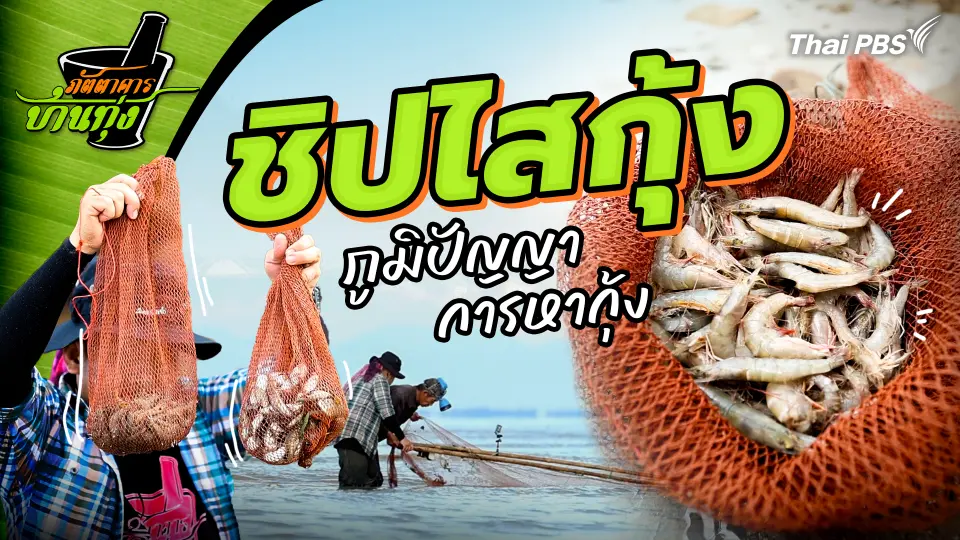 ชิปไสกุ้ง