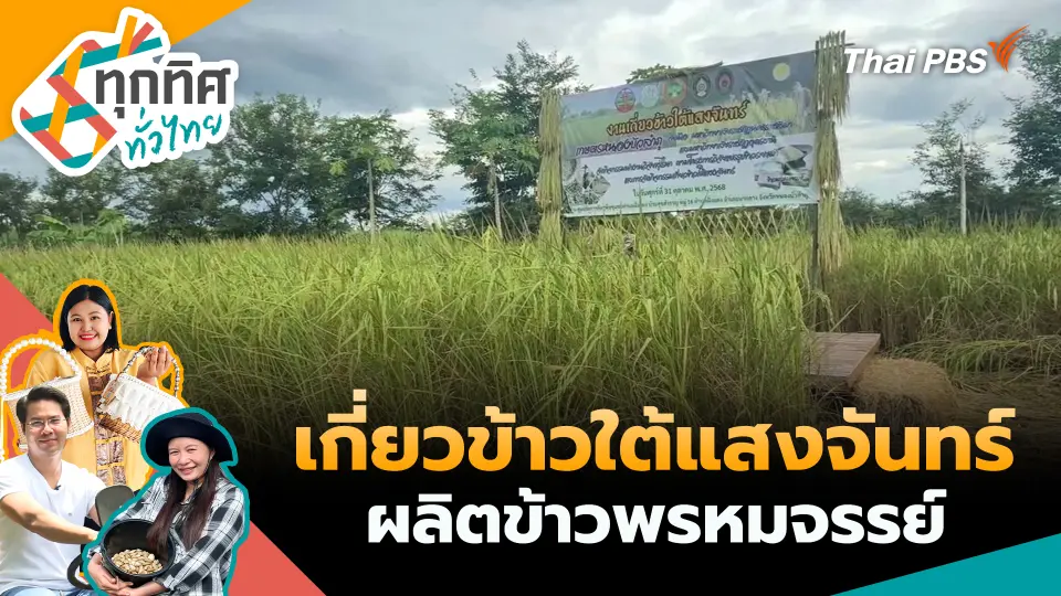 ทุกทิศทั่วไทย