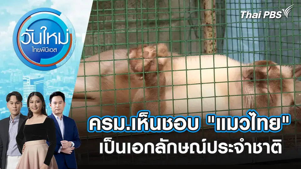วันใหม่  ไทยพีบีเอส