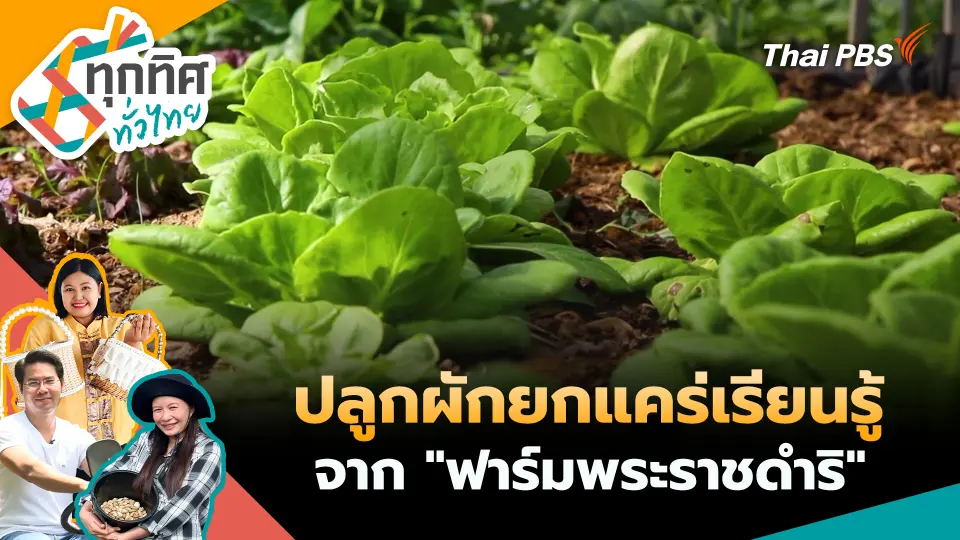 ทุกทิศทั่วไทย