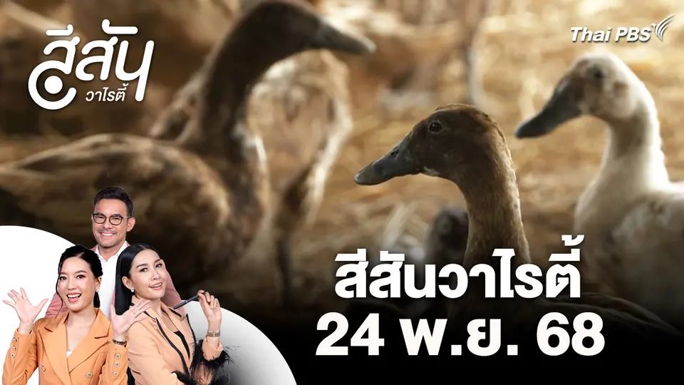 สีสันวาไรตี้ (24 พ.ย. 68)