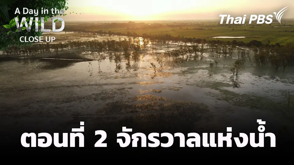  ตอนที่ 2 จักรวาลแห่งน้ำ