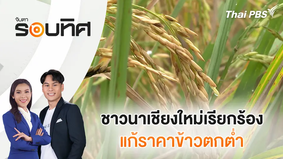 จับตารอบทิศ