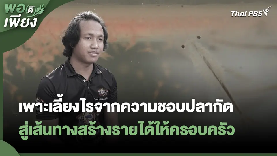 พอดีพอเพียง : เพาะเลี้ยงไรจากความชอบปลากัด สู่เส้นทางสร้างรายได้ให้ครอบครัว