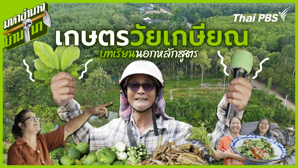 เกษตรวัยเกษียณ บทเรียนนอกหลักสูตร