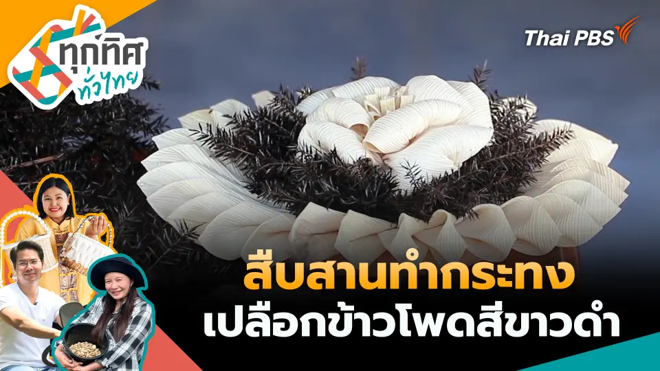 ทุกทิศทั่วไทย