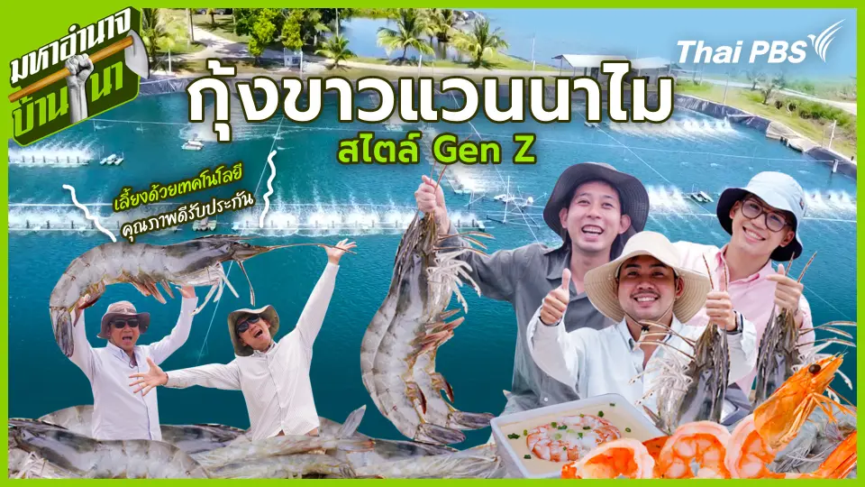 กุ้งขาวแวนนาไม สไตล์ Gen Z เลี้ยงด้วยเทคโนโลยี คุณภาพดีรับประกัน