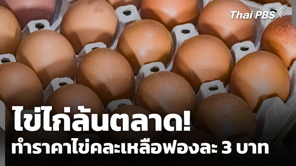 ไข่ไก่ล้นตลาด! ทำราคาไข่คละเหลือฟองละ 3 บาท