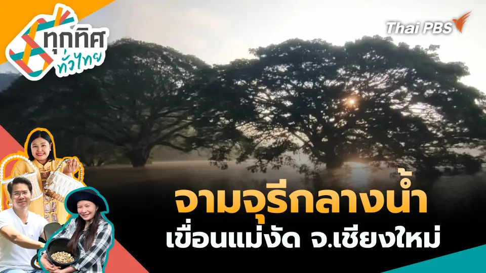 ทุกทิศทั่วไทย
