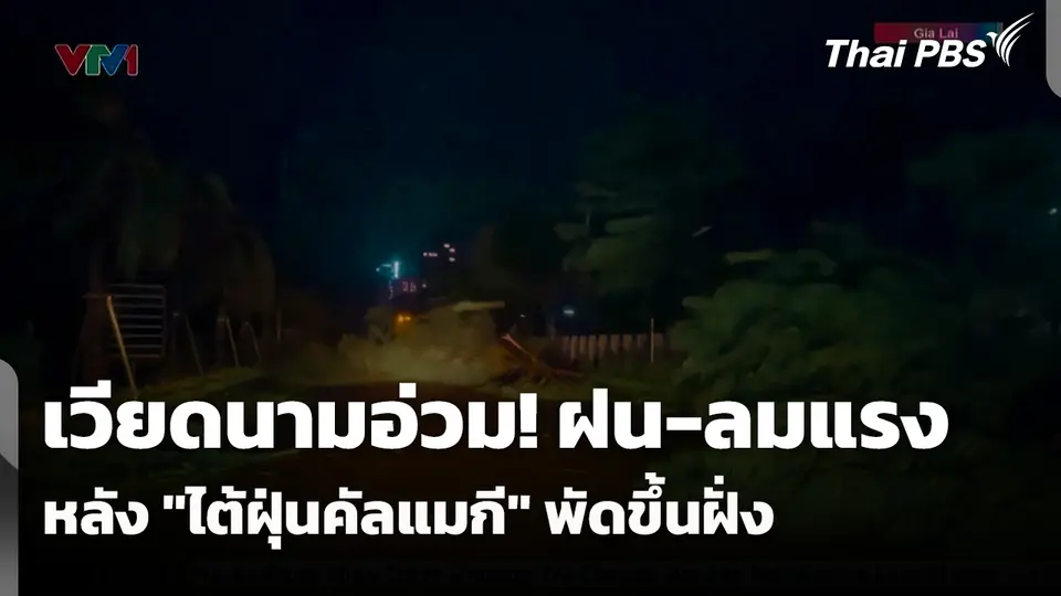 เวียดนามอ่วม! ฝน-ลมแรง หลัง "ไต้ฝุ่นคัลแมกี" พัดขึ้นฝั่ง 