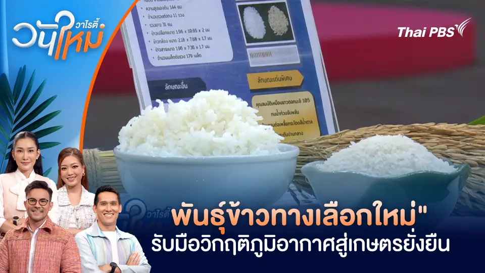วันใหม่วาไรตี้