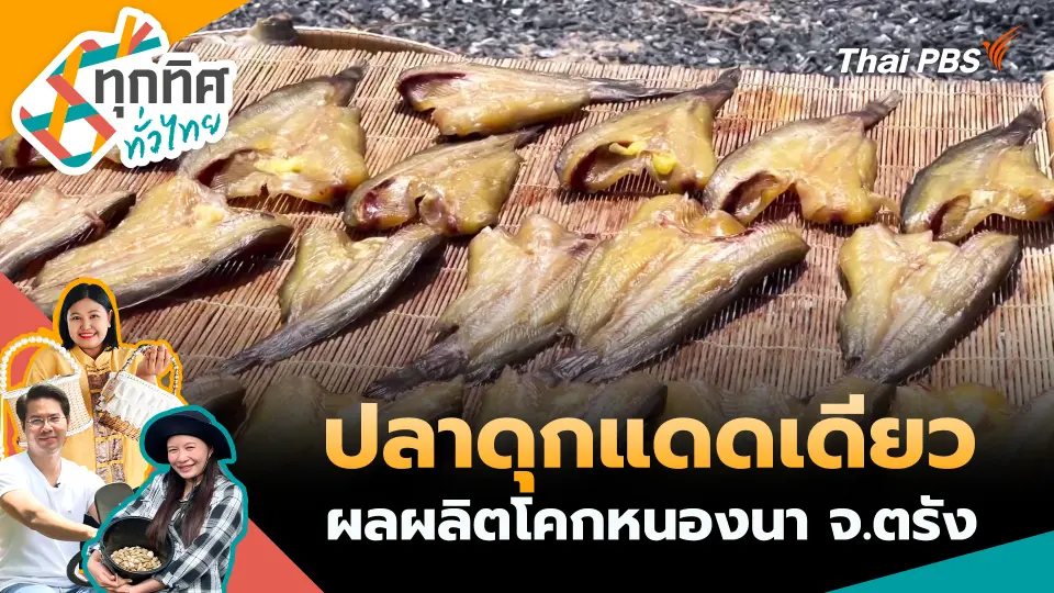 ทุกทิศทั่วไทย
