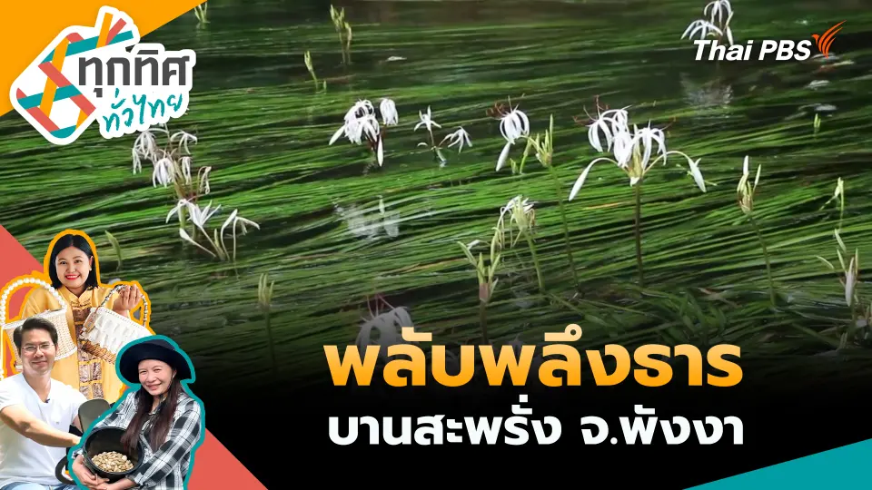 ทุกทิศทั่วไทย