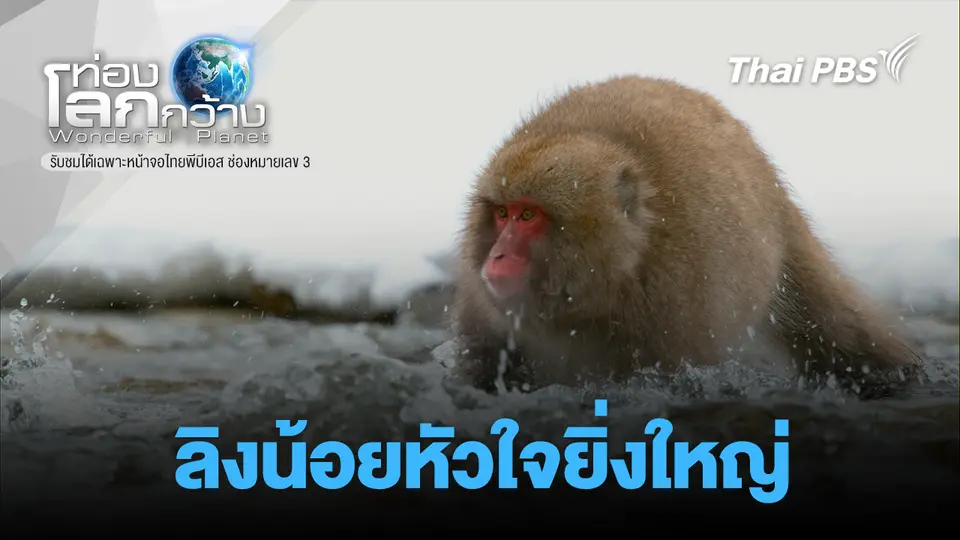 ท่องโลกกว้าง