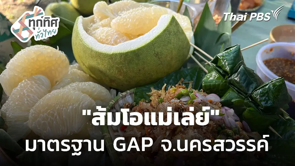 ผลิตส้มโอคุณภาพ "ส้มโอแม่เล่ย์" จ.นครสวรรค์ 